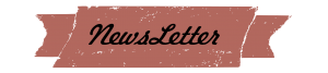 Newsletter un bébé pour mes 30 ans