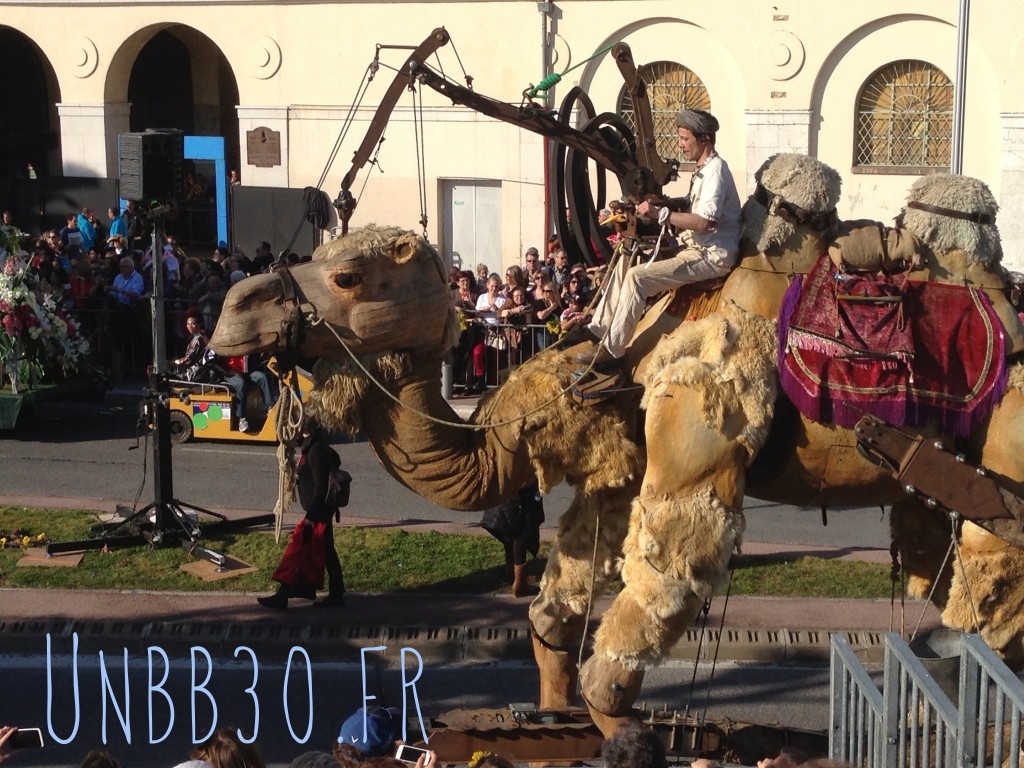 bataille des fleurs carnaval de Nice 06 chameau dromadaire