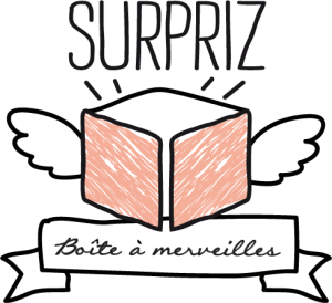 logo surpriz boite à merveilles box enfants