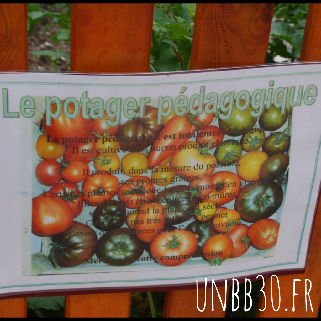 parc phoenix potager pédagogique