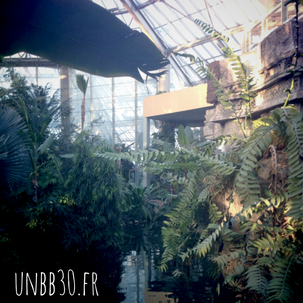 parc phoenix  serre tropicale