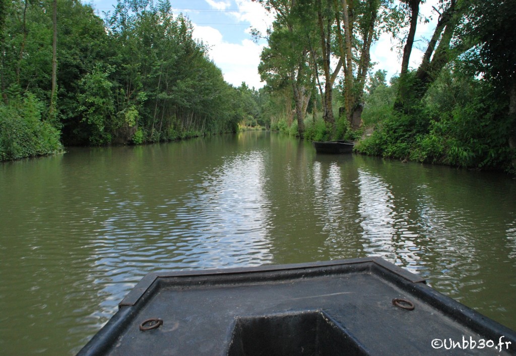 Marais poitevin 2010