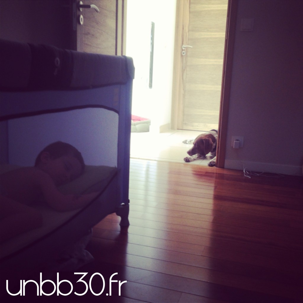sieste