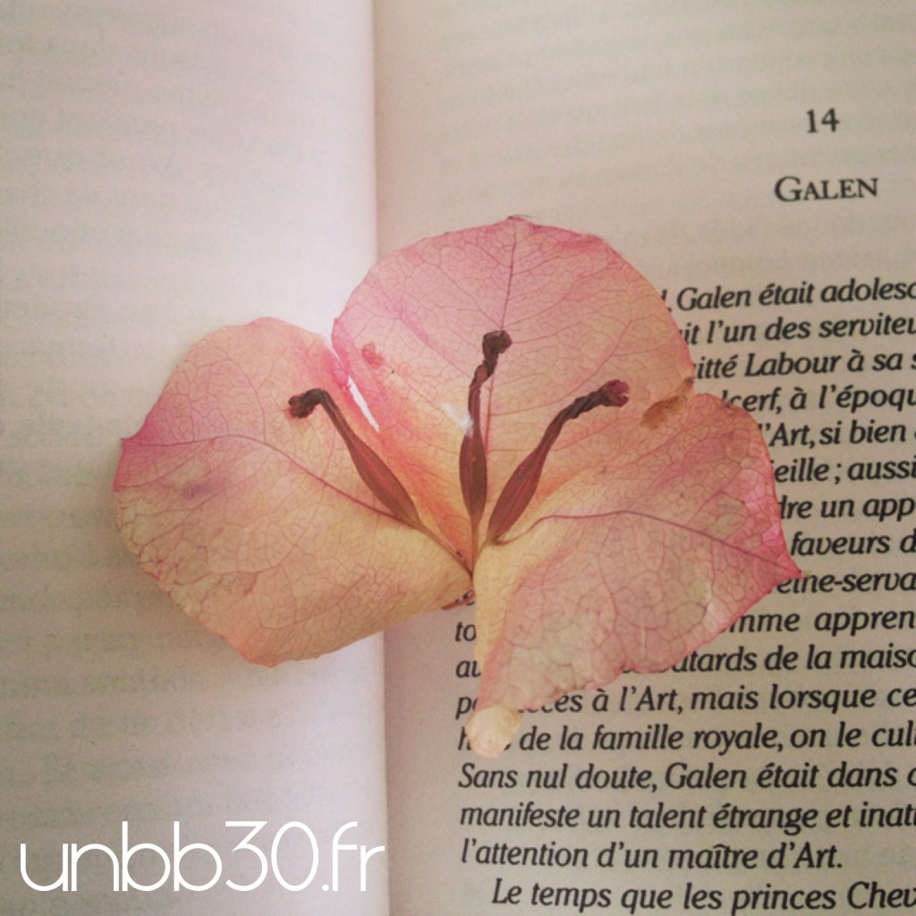 fleur cadeau de mon fils