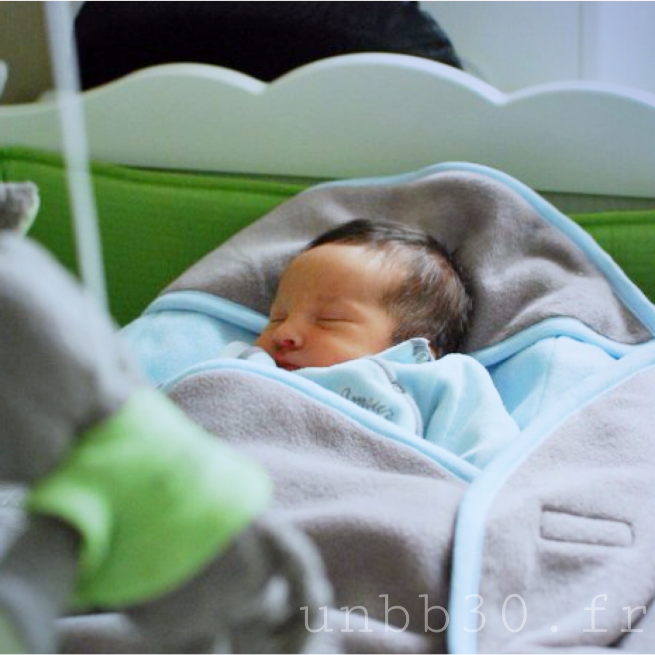 bébé dans cocoonababy