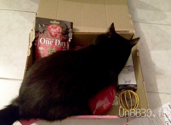 bamboo et la miaoubox