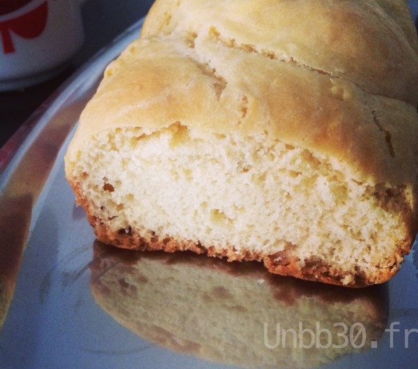 brioche au companion moulinex