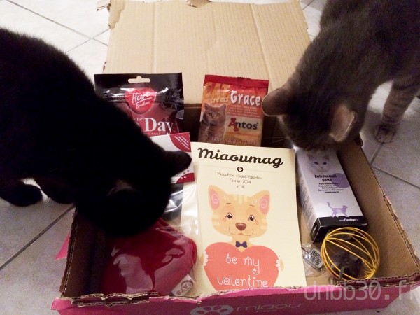 mes chats et la miaoubox