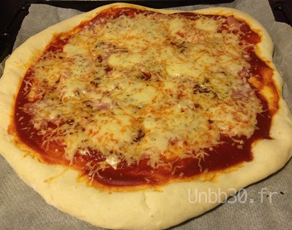 pâte à pizza au companion moulinex