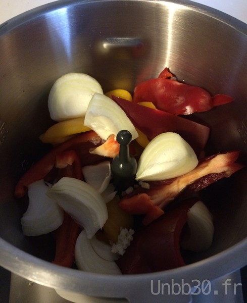 poulet basquaise companion moulinex