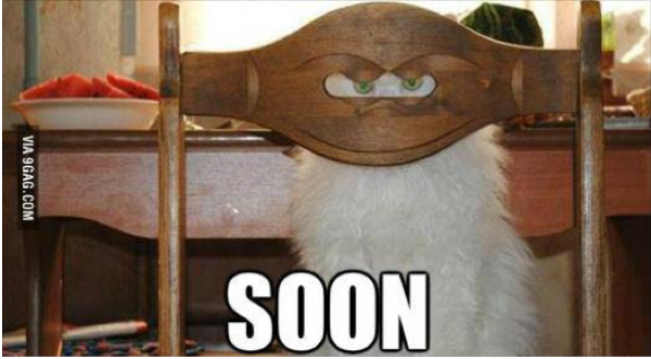 soon human