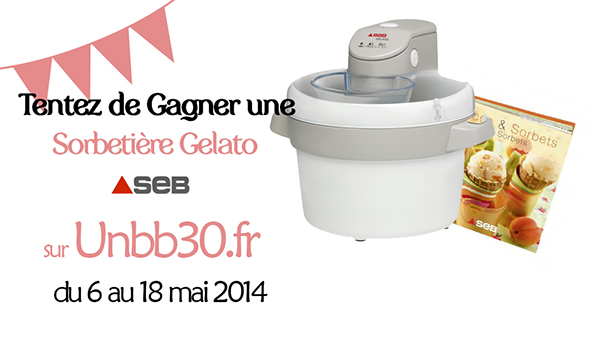 Giveaway Gelato sorbetière SEB
