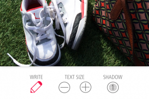 Typic+