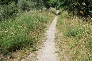 Parc Estienne D'orves chemin