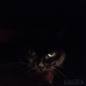 psychocat