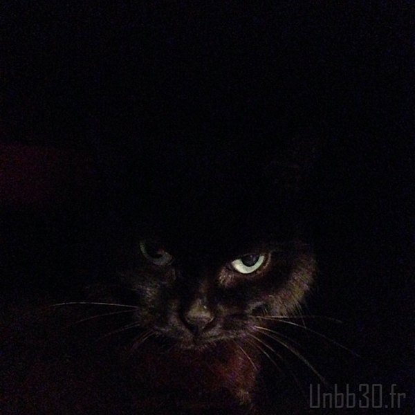 psychocat