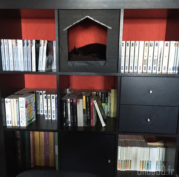 DIY maison pour chat