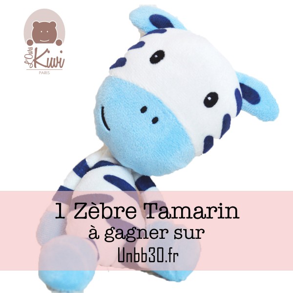 Concours L'ours Kiwi Zebre tamarin