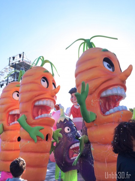 carottes grosses tetes