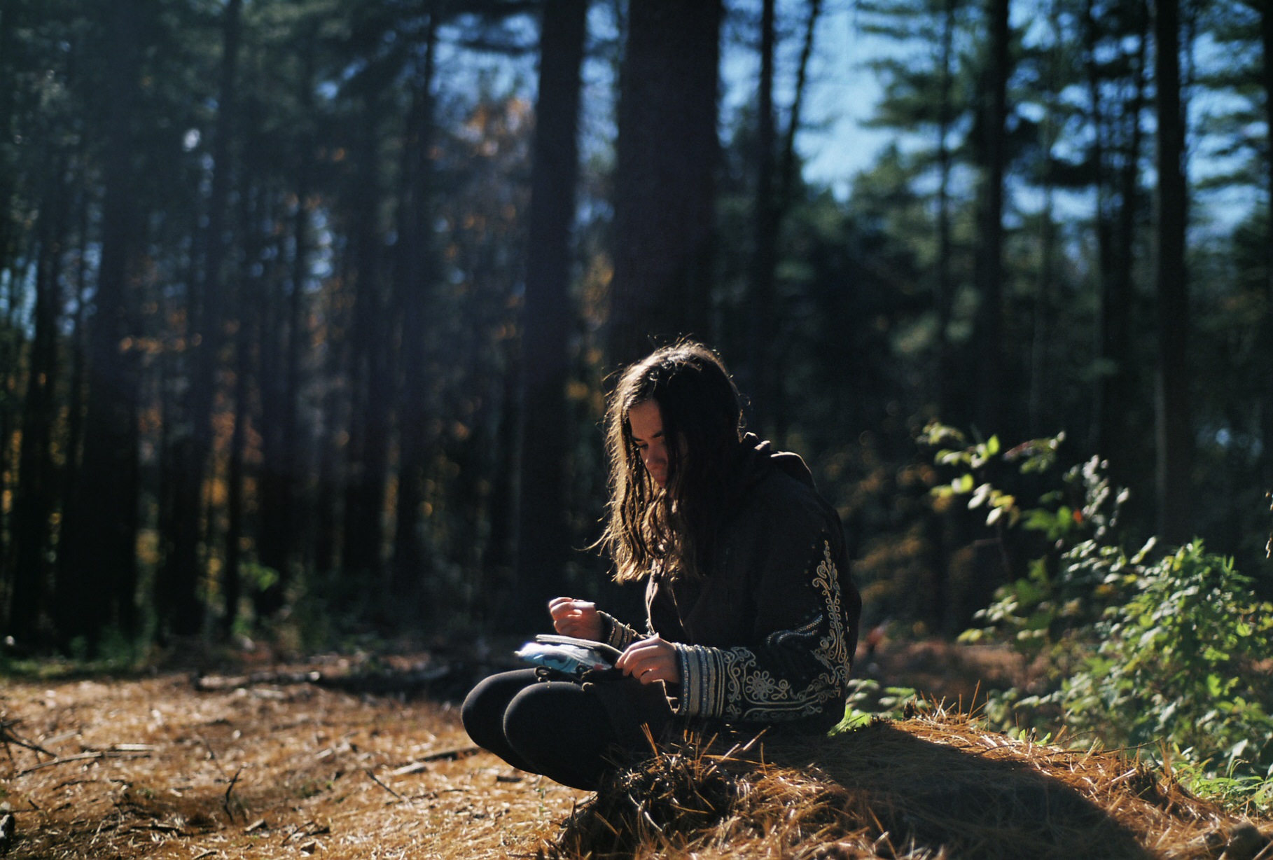 forest-nature-outside-