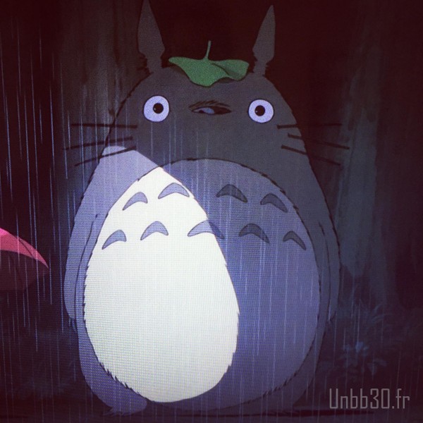 mon voisin totoro