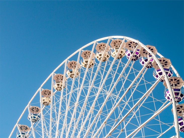amusement-park-big-wheel-ferris-wheel-4921-733x550