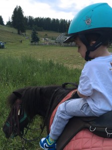 Poney Valberg