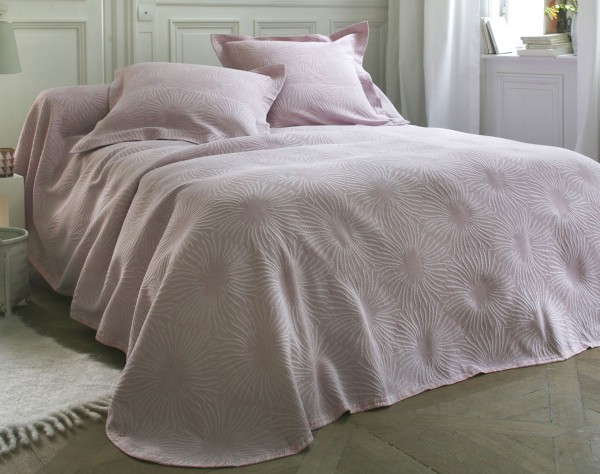 nouvelle collection becquet 1