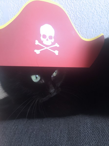 bamboo pirate et selfie booth