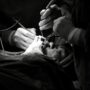 black and white surgical operation scene