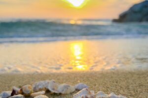 serene beach sunset with seashells