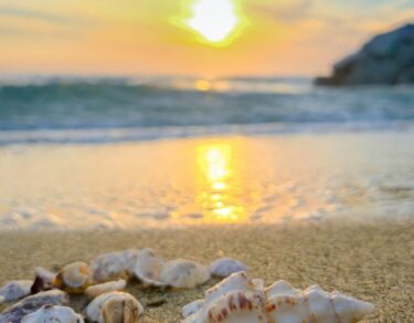serene beach sunset with seashells
