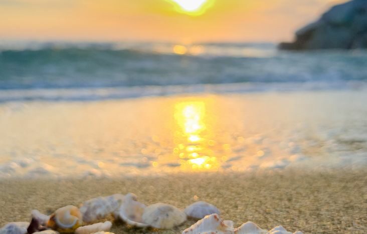 serene beach sunset with seashells